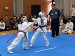 １１image1.JPGのサムネール画像