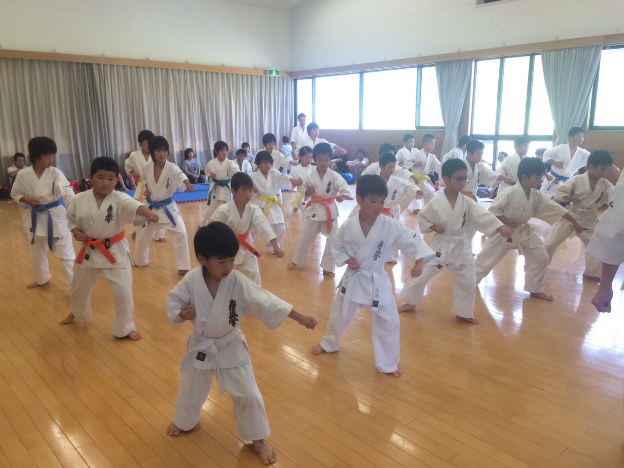 http://www.kyokushin-chibaminami.com/images/1439196328586.jpg