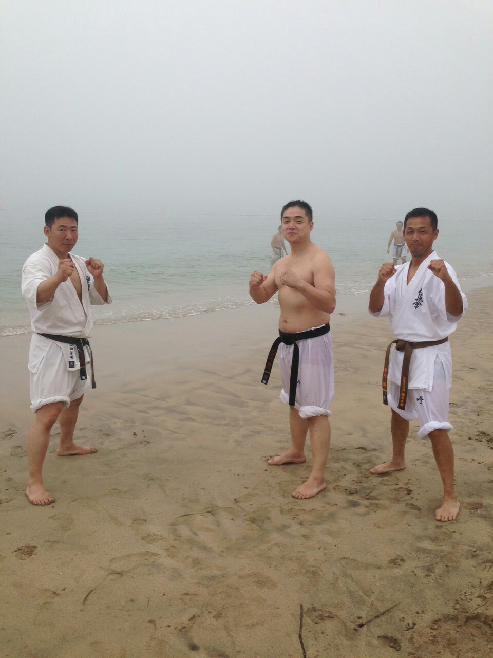 http://www.kyokushin-chibaminami.com/images/1442839765719.jpg