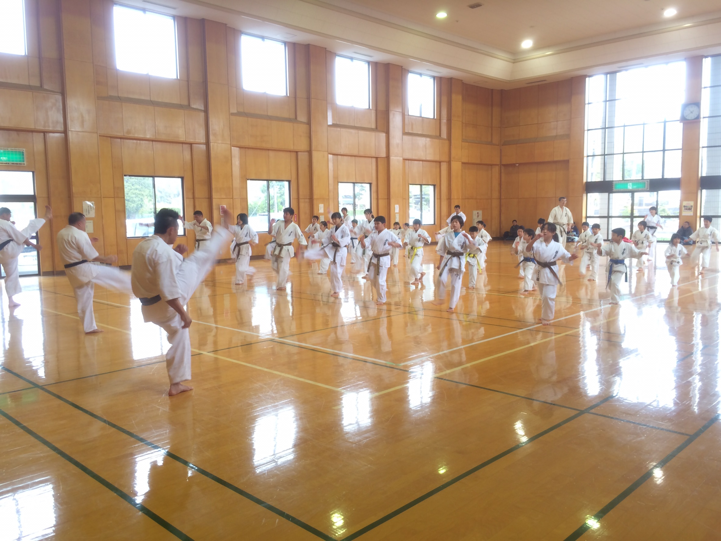 http://www.kyokushin-chibaminami.com/images/1484188342841.jpg