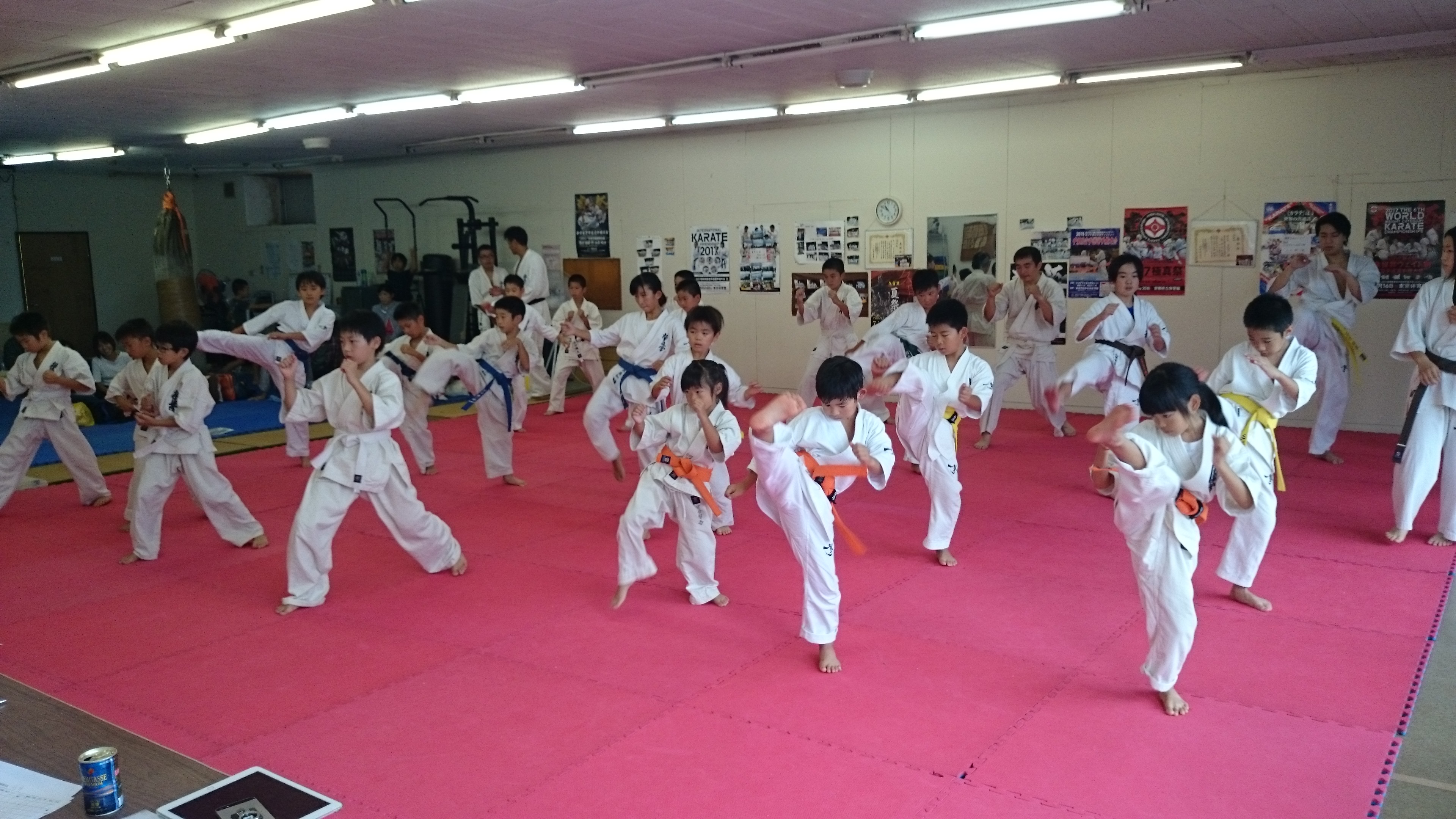 http://www.kyokushin-chibaminami.com/images/DSC_0027.JPG